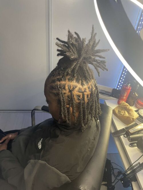Retwist locks + vanilla